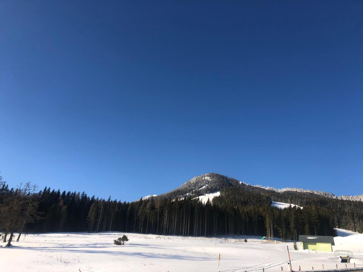 Appartement Schwab Ski In & Out Schladming Kültér fotó